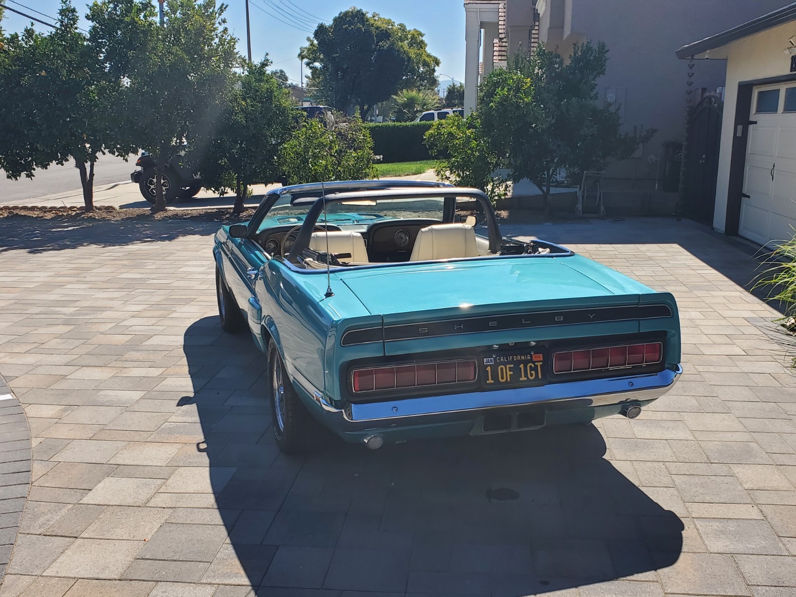 Shelby-GT-500-convertible-1969-Convertible-14
