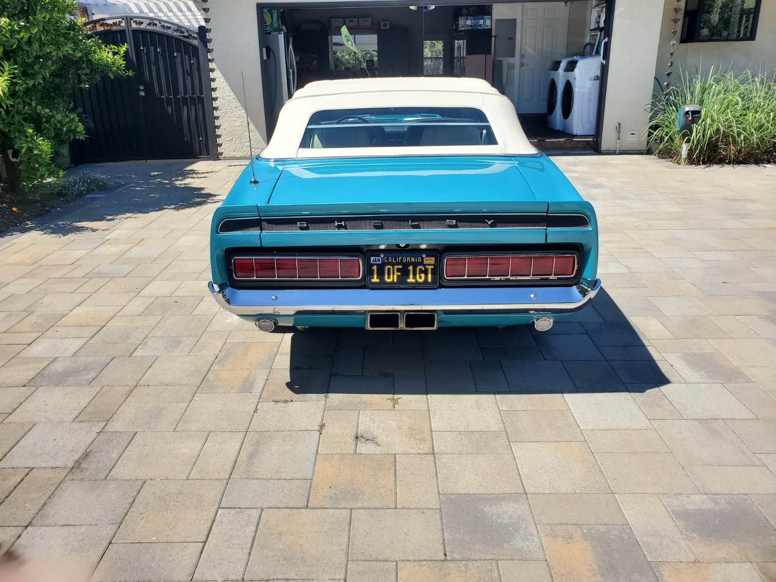 Shelby-GT-500-convertible-1969-Convertible-2