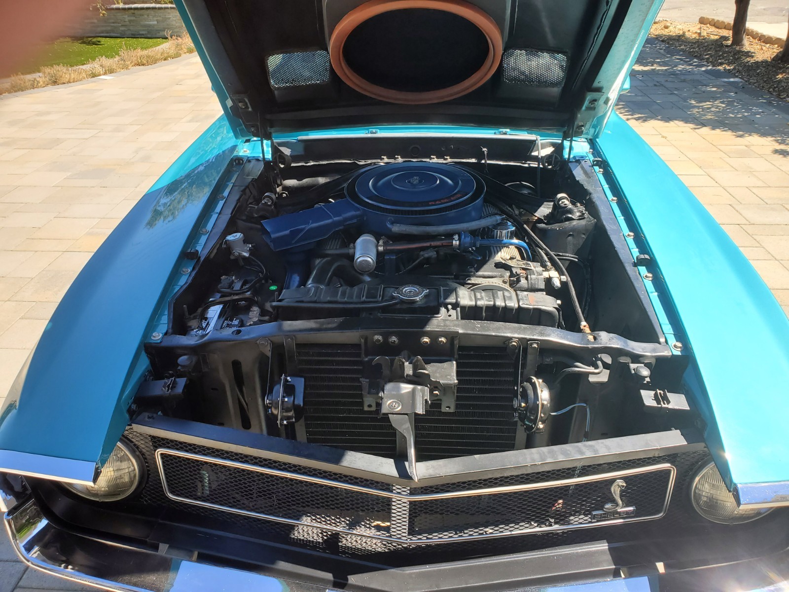 Shelby-GT-500-convertible-1969-Convertible-4