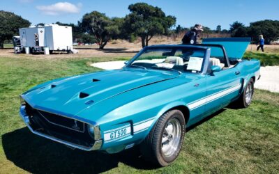 Shelby GT 500 convertible 1969 Convertible
