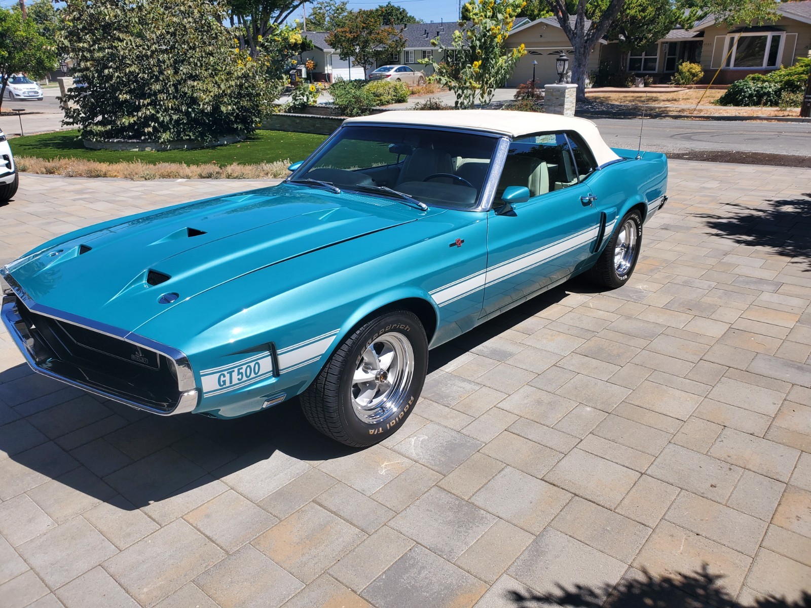 Shelby-GT-500-convertible-1969-Convertible-7