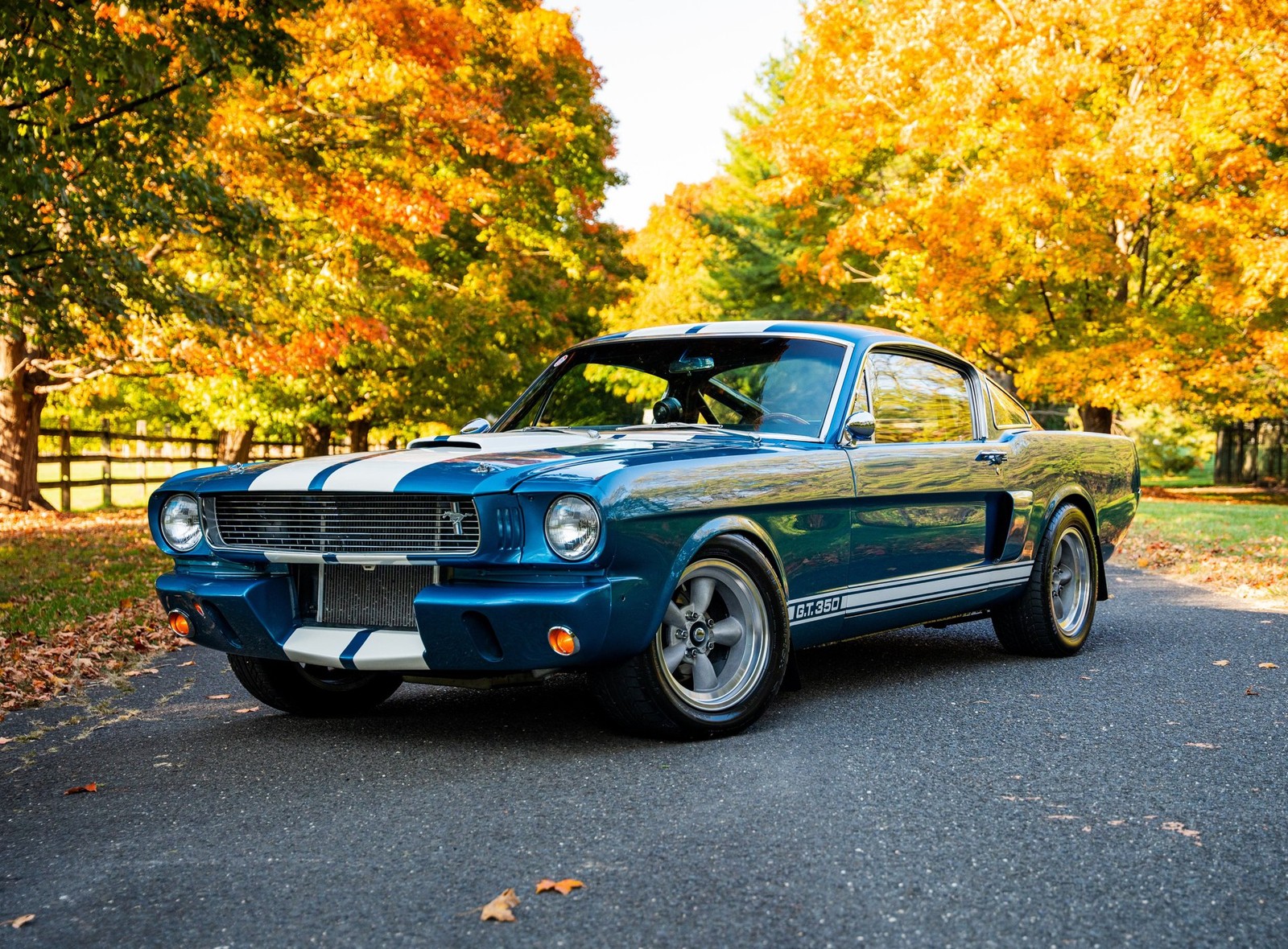 Shelby GT350 1966 Other
