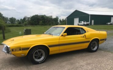 Shelby-Mustang-gt350-1969-Yellow-Black-3