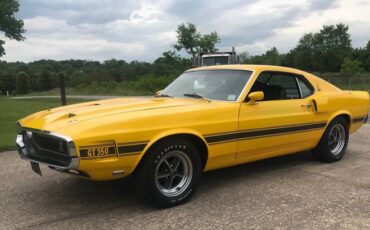 Shelby-Mustang-gt350-1969-Yellow-Black-5