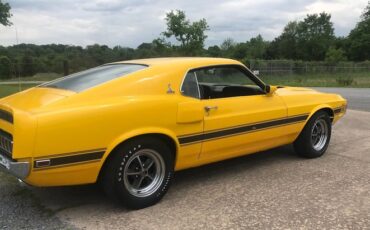 Shelby-Mustang-gt350-1969-Yellow-Black-7