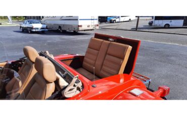 Sparks-Delegance-1981-Red-Saddle-22