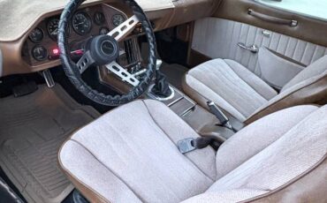Studebaker-Avanti-1976-brown-10