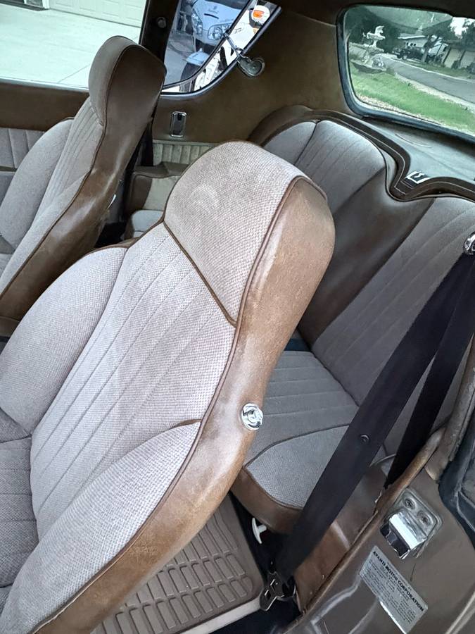 Studebaker-Avanti-1976-brown-11
