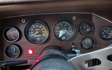 Studebaker-Avanti-1976-brown-13