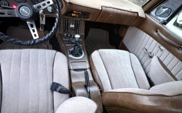 Studebaker-Avanti-1976-brown-14