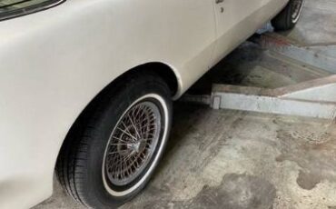 Studebaker-Avanti-1980
