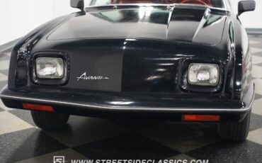 Studebaker-Avanti-1984-Coupe-23