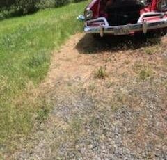 Studebaker-Hawk-1960-Red-5