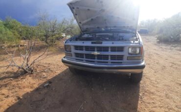 Suburban-1500-1994-white-4