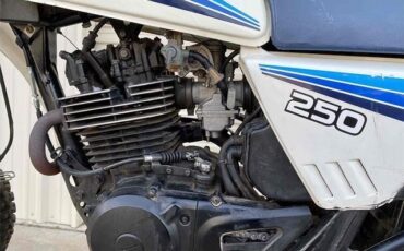 Suzuki-Other-1983