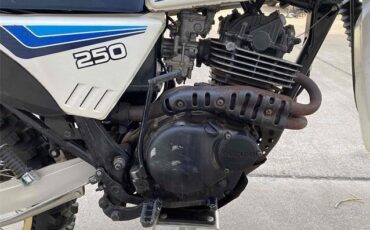 Suzuki-Other-1983-6