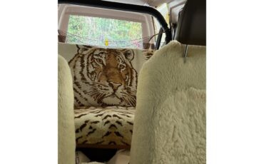 Toyota-4runner-1984-White-Beige-6
