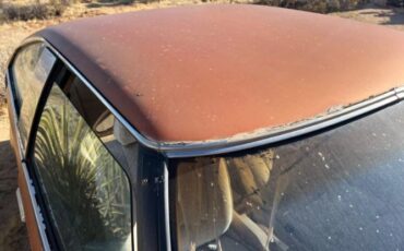 Toyota-Celica-1979-Bronze-Tan-5