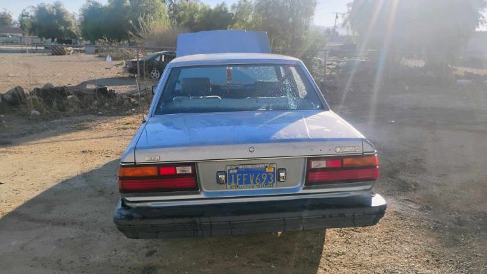 Toyota-Cressida-1982-9