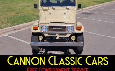 Toyota-FJ-Cruiser-1981-5