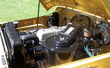 Toyota-Fj-cruiser-1971-Sunrise-Yellow-Dark-Gray-6
