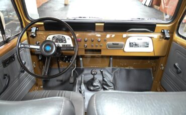 Toyota-Land-Cruiser-1979-11