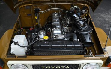 Toyota-Land-Cruiser-1979-29