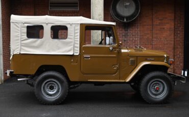 Toyota-Land-Cruiser-1979-3