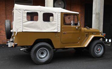 Toyota-Land-Cruiser-1979-4
