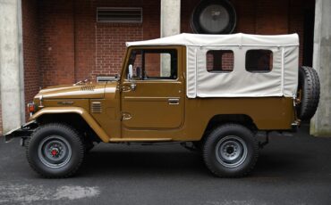 Toyota-Land-Cruiser-1979-9