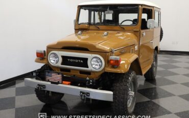 Toyota-Land-cruiser-1978-Butterscotch-Dark-Gray-16