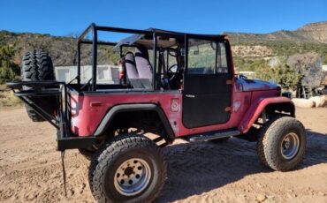 Toyota-Land-cruiser-1978-Red-22