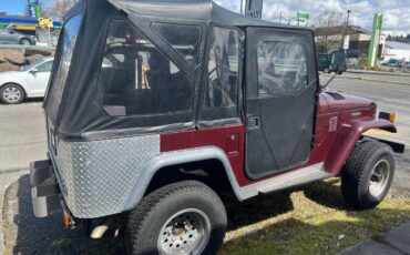Toyota-Land-cruiser-1979-5