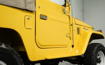 Toyota-Land-cruiser-1979-Mustard-Yellow-Black-34