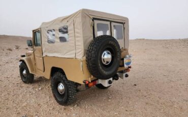 Toyota-Land-cruiser-1984-Brown-2
