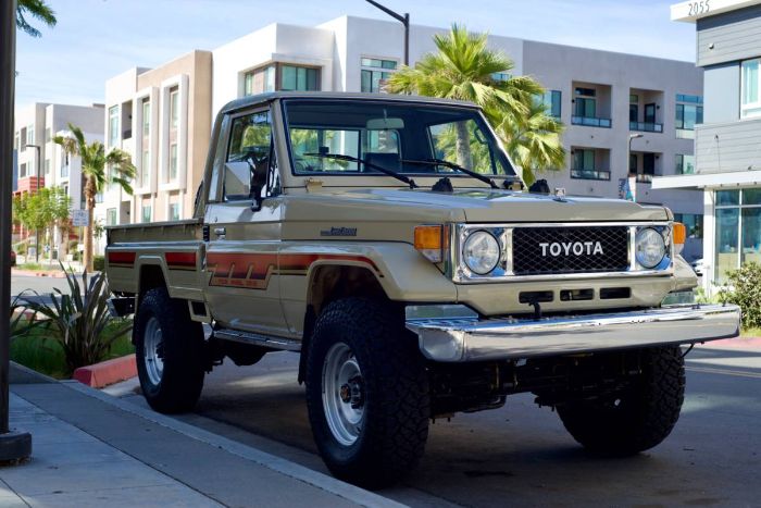 Toyota-Land-cruiser-1988-Custom-15