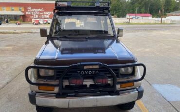 Toyota-Land-cruiser-1990-Brown-Brown-15