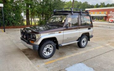 Toyota-Land-cruiser-1990-Brown-Brown