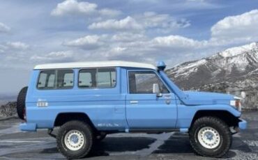 Toyota-Land-cruiser-1994-Blue-Brown-1