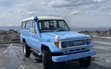 Toyota-Land-cruiser-1994-Blue-Brown-2