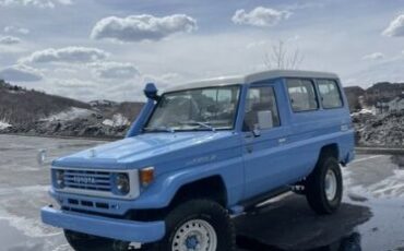 Toyota-Land-cruiser-1994-Blue-Brown-7
