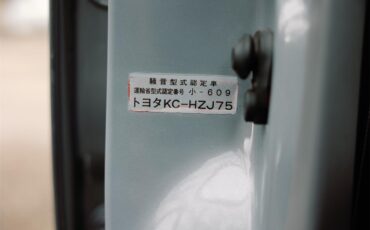 Toyota-Land-cruiser-1995-Cement-Grey-Greyred-62