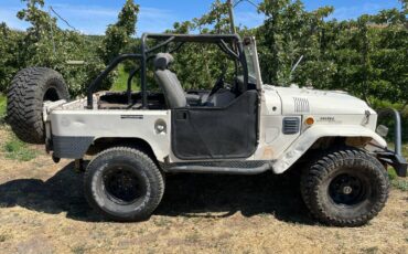 Toyota-Land-cruiser-fj40-1969-white-8