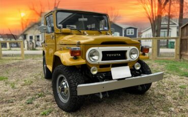 Toyota-Land-cruiser-fj40-1971-Yellow-Gray-13