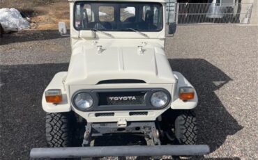 Toyota-Land-cruiser-fj40-1978-White-Blackgrey-2