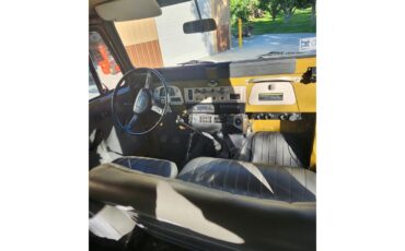 Toyota-Land-cruiser-fj43-1984-Brown-Gray-13