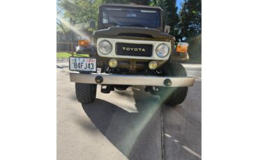 Toyota-Land-cruiser-fj43-1984-Brown-Gray-2