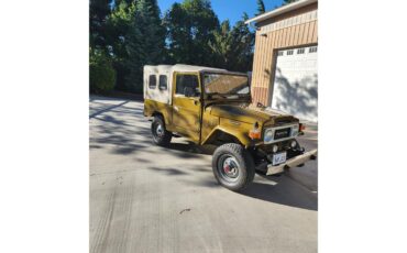Toyota-Land-cruiser-fj43-1984-Brown-Gray-3