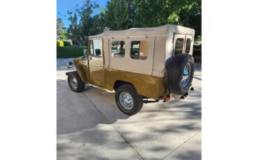 Toyota-Land-cruiser-fj43-1984-Brown-Gray