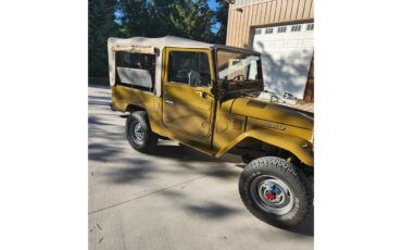 Toyota-Land-cruiser-fj43-1984-Brown-Gray-4